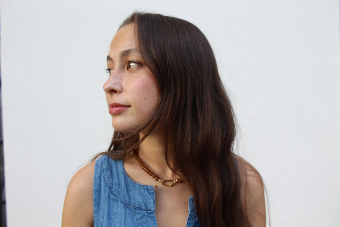 Fall Candy Strands Carabiner Necklace- Brown